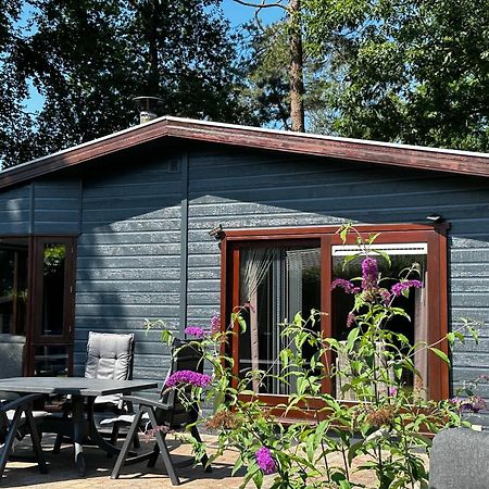 Dubbele Chalet Op Recreatiepark Topparken Op De Veluwe In Beekbergen Met Grote Vrije Tuin En Eigen Parkeerplaats Ngoại thất bức ảnh